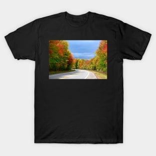 winding road in the park T-Shirt